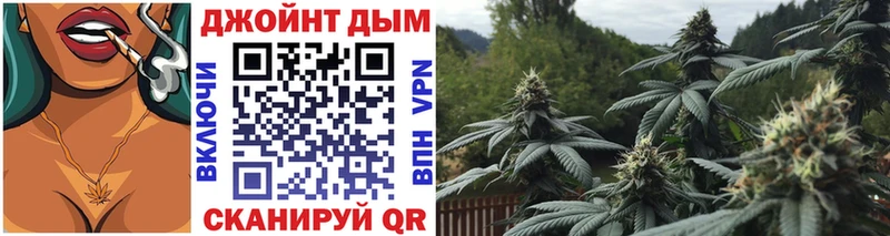 Конопля тримм  kraken ССЫЛКА  Новодвинск 